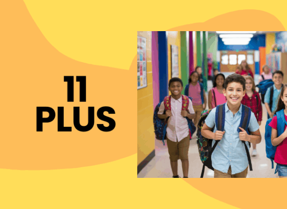 11 PLUS (6)