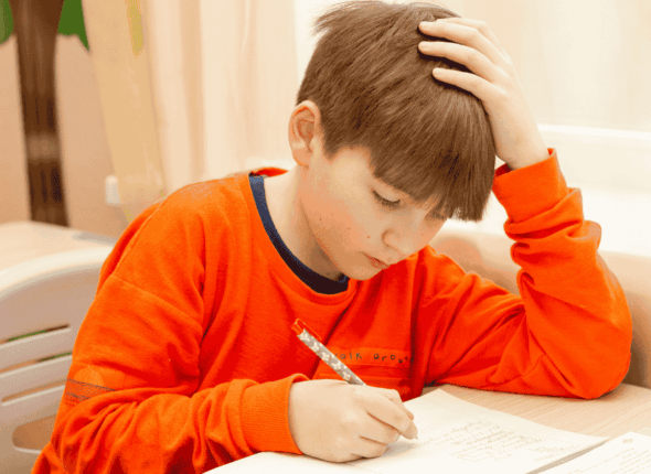 CSSE Essex 11 Plus Exam