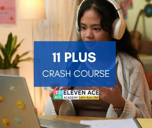 11 Plus 2026 Crash Course